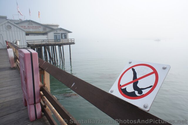 No Diving Sign at Stearns Wharf.jpg