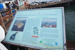 Santa Cruz Island Info Poster at Stearns Wharf.jpg