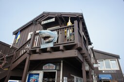 Shark Head in front of Coastal Treasures Shop at Stearns Wharf.jpg