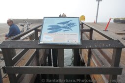 Channel Islands National Marine Sanctuary info poster at Stearns Wharf.jpg