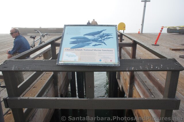 Channel Islands National Marine Sanctuary info poster at Stearns Wharf.jpg