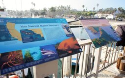 Channel Islands National Marine Sanctuary info poster at Santa Barbara Harbor.jpg