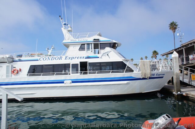 Condor Express Whale Watching Boat docked at Santa Barbara.jpg