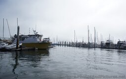 Cormorant Fishing Boat & Yachts at Santa Barbara Harbor.jpg