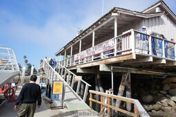 Cruise Ship Tender Boat Docking Area at Santa Barbara Harboar.jpg