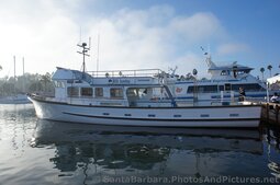 Sea Landing Boat & Condor Express at Santa Barbara Harbor.jpg