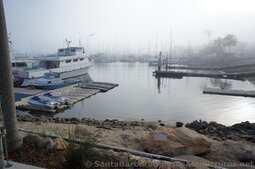 Yachts & Boats docked at Santa Barbara Harbor.jpg