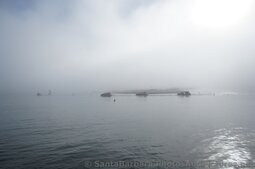 Cruise Ship Tender Boats proceed during Foggy Day in waters off of Stearns Wharf in Santa Barbara.jpg