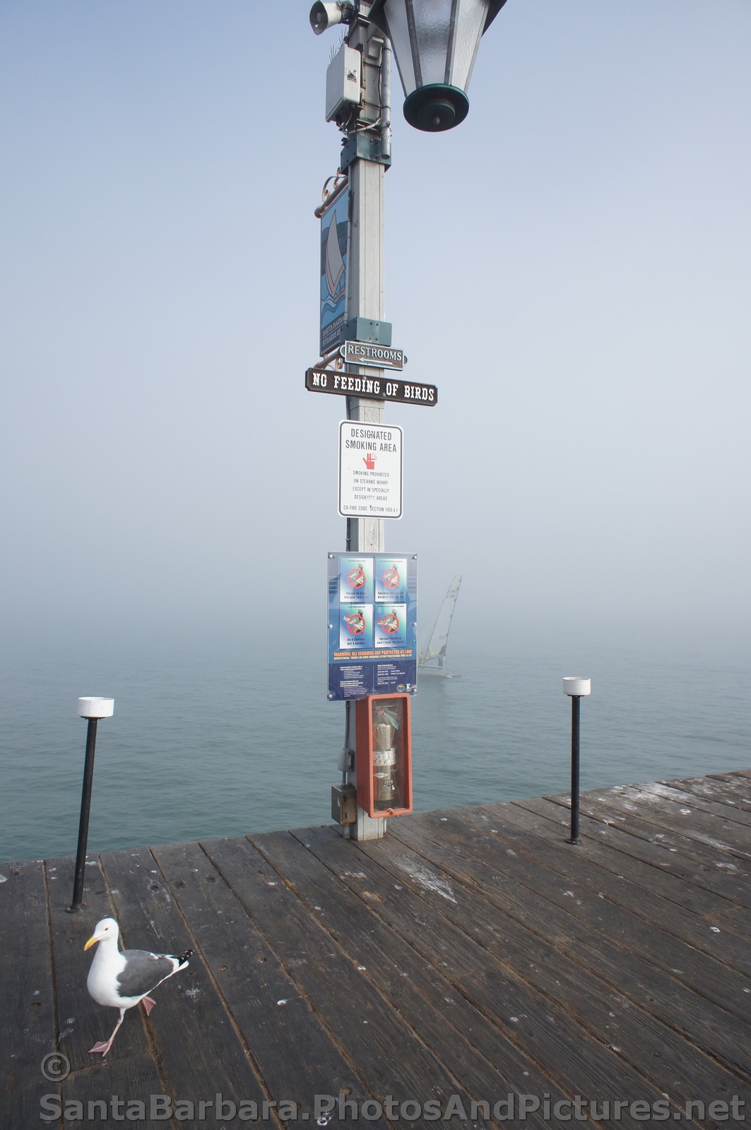 Designated Smoking Area at Stearns Wharf.jpg