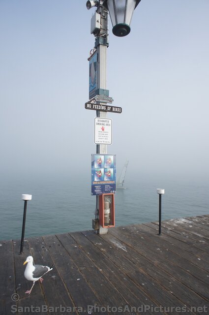 Designated Smoking Area at Stearns Wharf.jpg