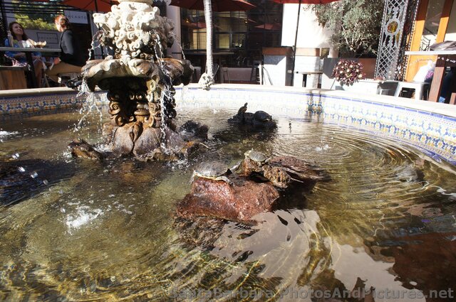 Realistic Looking Turtles at La Arcada Fountain.jpg