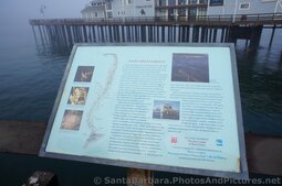 Giant Kelp Forests info poster at Stearns Wharf.jpg