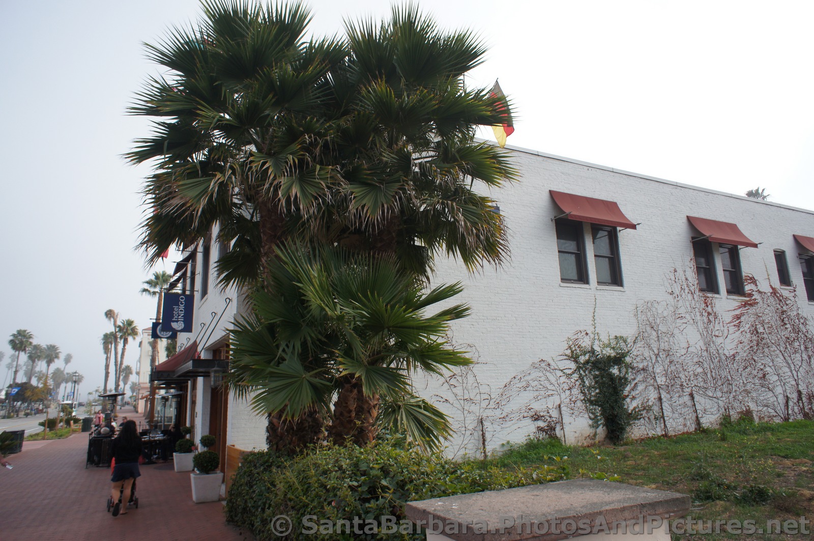 Hotel Indigo in Santa Barbara.jpg