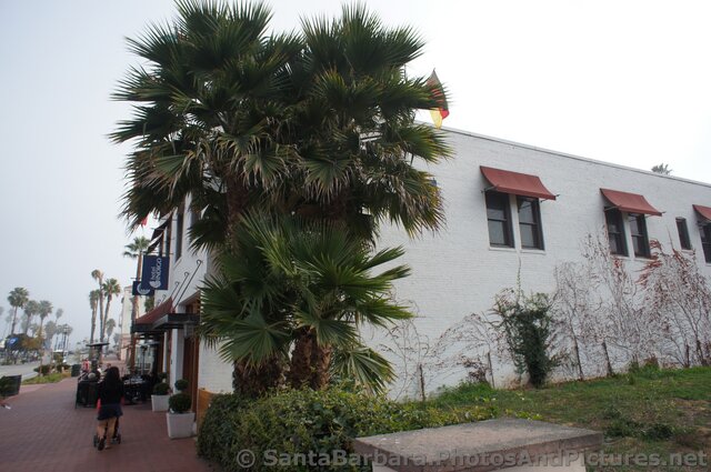 Hotel Indigo in Santa Barbara.jpg