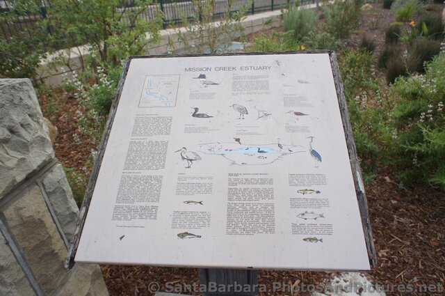 Mission Creek Estuary Birds Info Poster in Santa Barbara.jpg